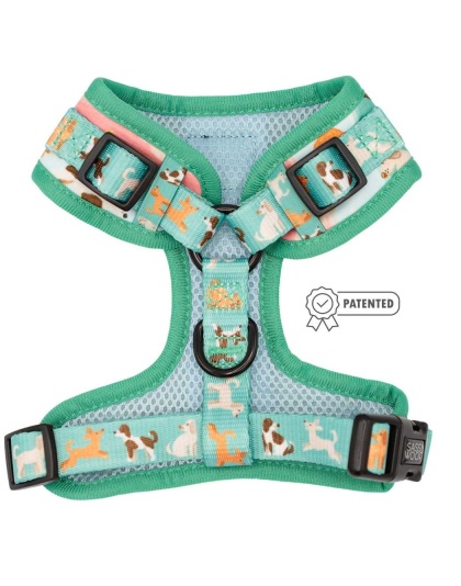 Oodles of Doodles - Adjustable Harness  - XSmall