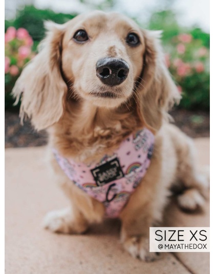 Sassy AF - Adjustable Harness  - Large