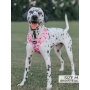 Mon Cherry - Adjustable Harness  - Small