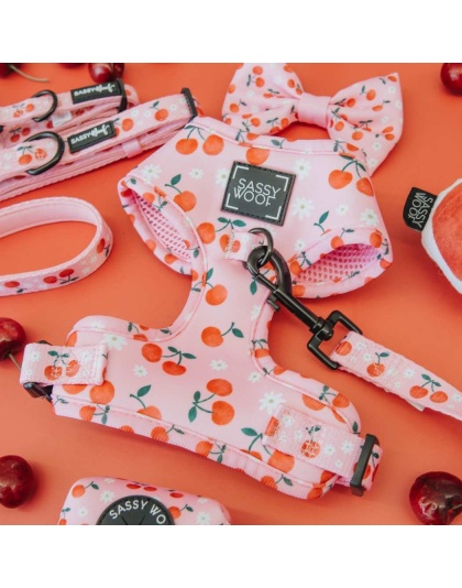 Mon Cherry - Adjustable Harness  - XSmall