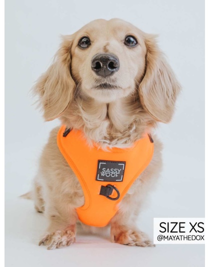 Neon Orange - Adjustable Harness  - Large