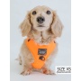 Neon Orange - Adjustable Harness  - Large