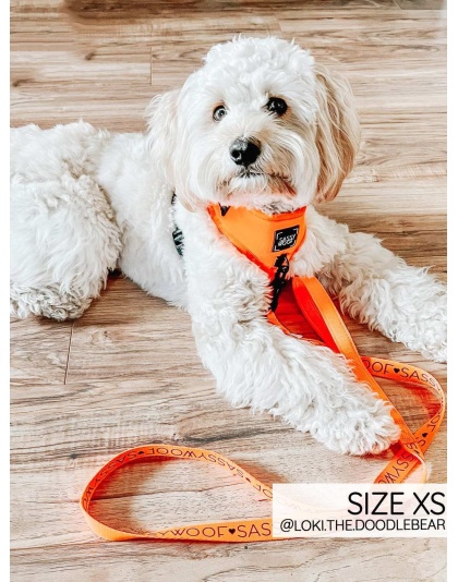 Neon Orange - Adjustable Harness  - Large
