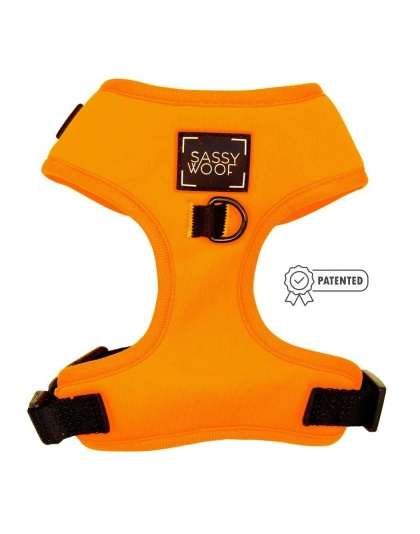 Neon Orange - Adjustable Harness  - XLarge