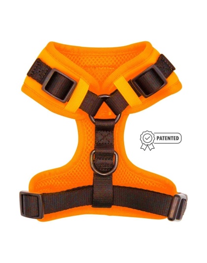 Neon Orange - Adjustable Harness  - XLarge