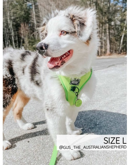 Neon Green - Adjustable Harness  - Medium