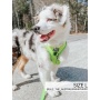 Neon Green - Adjustable Harness  - Medium