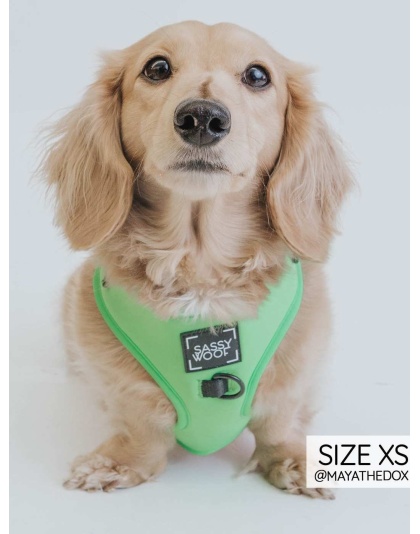 Neon Green - Adjustable Harness  - Large