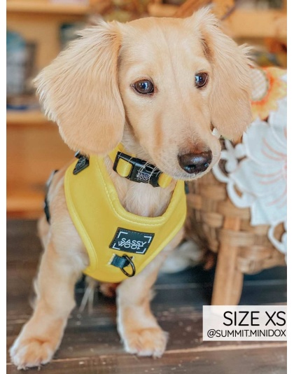 Neon Yellow - Adjustable Harness  - XXSmall