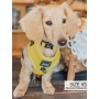 Neon Yellow - Adjustable Harness  - XXSmall