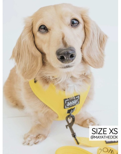Neon Yellow - Adjustable Harness  - XSmall