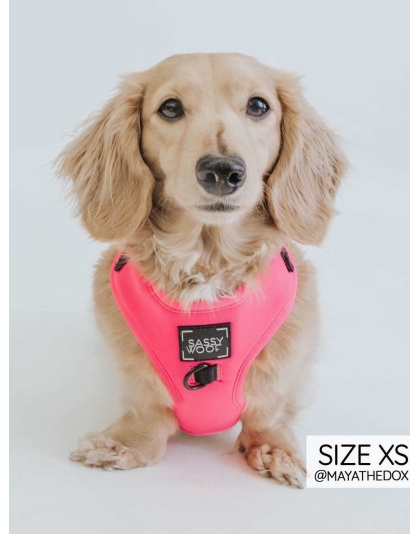 Neon Pink - Adjustable Harness  - Small