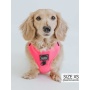 Neon Pink - Adjustable Harness  - Small