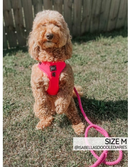 Neon Pink - Adjustable Harness  - Small