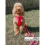 Neon Pink - Adjustable Harness  - Small