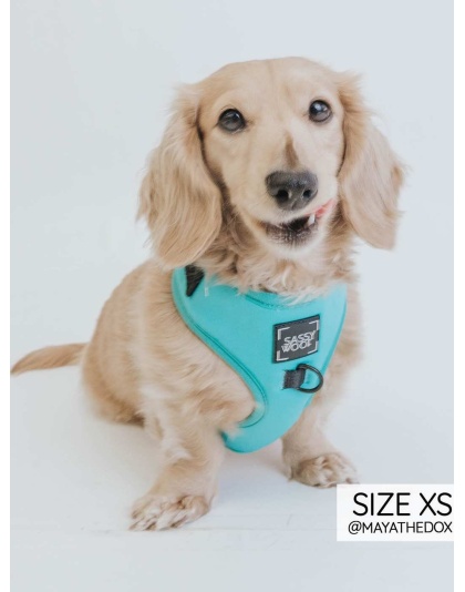 Neon Blue - Adjustable Harness  - Medium