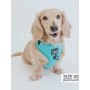 Neon Blue - Adjustable Harness  - Medium