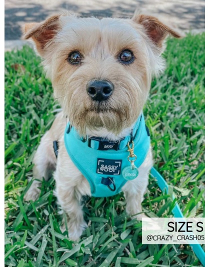 Neon Blue - Adjustable Harness  - Medium