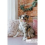 I Do, Too (White) - Adjustable Harness  - Large