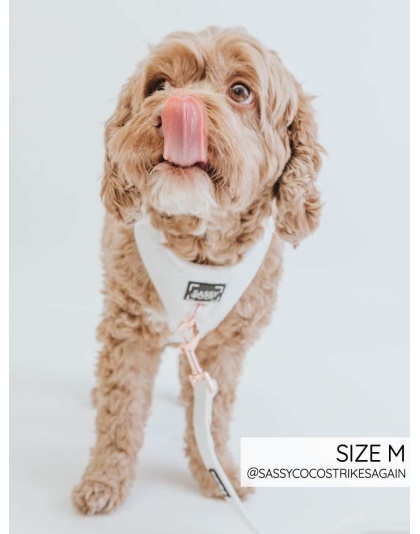 I Do, Too (White) - Adjustable Harness  - Large