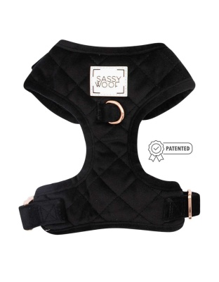 I Do, Too (Black) - Adjustable Harness  - Small