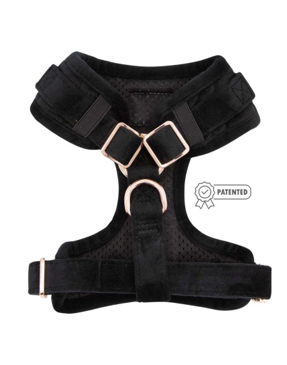 I Do, Too (Black) - Adjustable Harness  - Small
