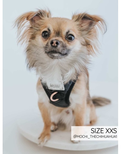 I Do, Too (Black) - Adjustable Harness  - XSmall
