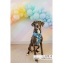 Santorini - Adjustable Harness  - Medium