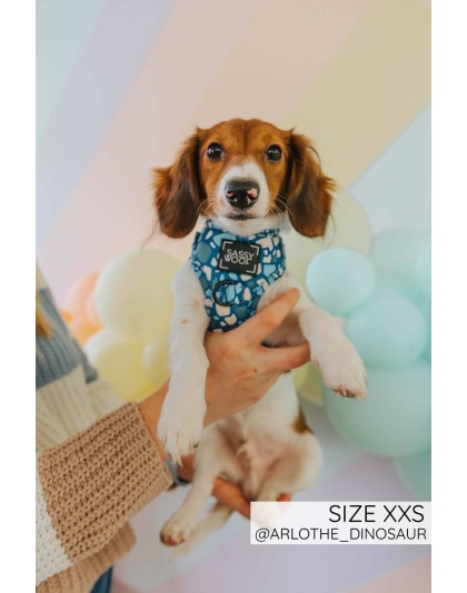 Santorini - Adjustable Harness  - XLarge