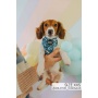 Santorini - Adjustable Harness  - XLarge