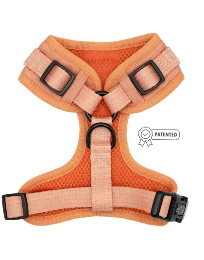 Apple Cider - Adjustable Harness  - Small