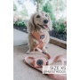 Apple Cider - Adjustable Harness  - Small