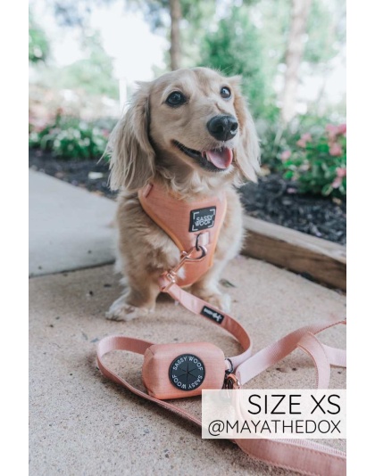 Apple Cider - Adjustable Harness  - XSmall