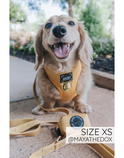 Sunflower Fields - Adjustable Harness  - XSmall