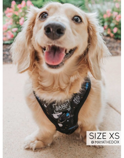 To the Stars and Beyond - Adjustable Harness  - XXSmall