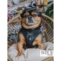 Baby Got Black - Adjustable Harness  - Large