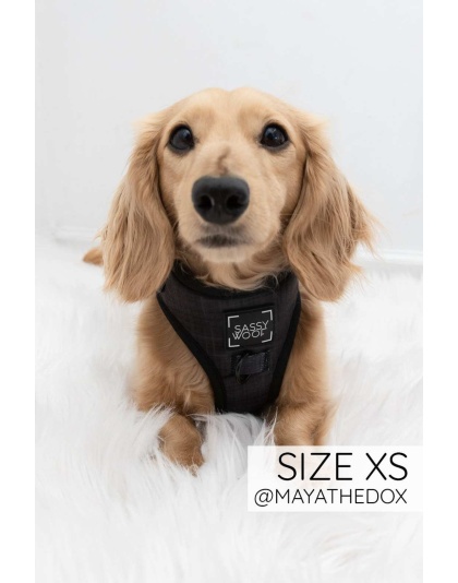 Baby Got Black - Adjustable Harness  - Medium