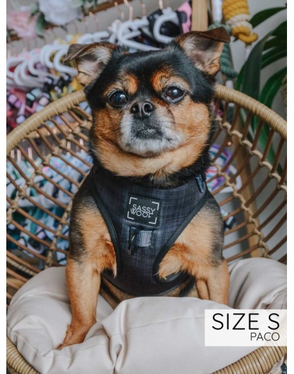 Baby Got Black - Adjustable Harness  - Medium
