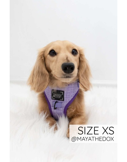 Aurora - Adjustable Harness  - XXSmall