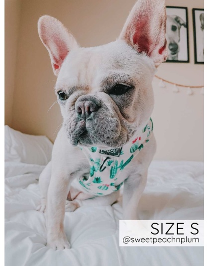 Sass On Point - Adjustable Harness  - XSmall