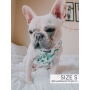 Sass On Point - Adjustable Harness  - XSmall