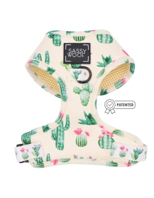 Sass On Point - Adjustable Harness  - XXSmall
