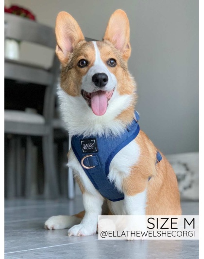 Denim - Adjustable Harness  - XXSmall