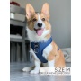 Denim - Adjustable Harness  - XXSmall