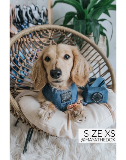 Denim - Adjustable Harness  - XXSmall