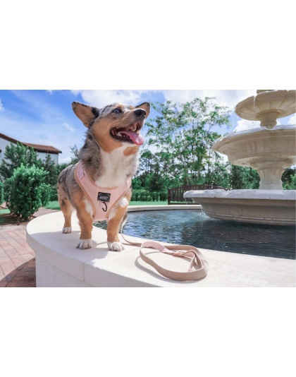 Pinot - Adjustable Harness  - XSmall