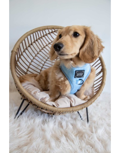 Blumond - Adjustable Harness  - Small