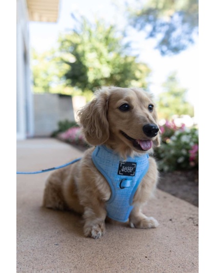 Blumond - Adjustable Harness  - XSmall