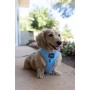 Blumond - Adjustable Harness  - XSmall
