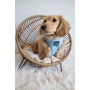 Blumond - Adjustable Harness  - XSmall
